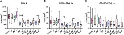 PD-L1 is upregulated in CD163+ tonsillar macrophages from children undergoing EBV primary infection